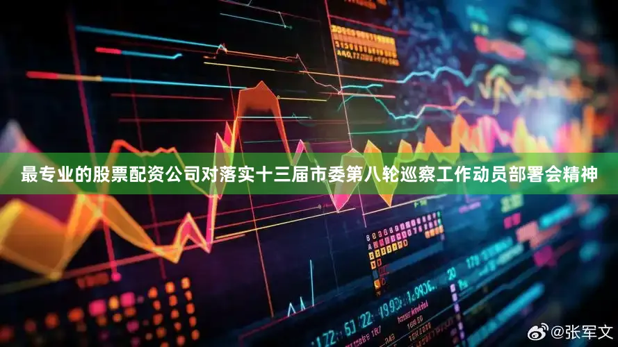 最专业的股票配资公司对落实十三届市委第八轮巡察工作动员部署会精神