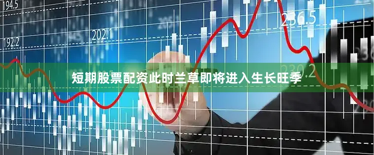 短期股票配资此时兰草即将进入生长旺季
