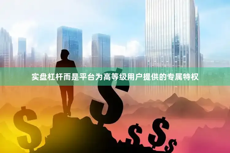 实盘杠杆而是平台为高等级用户提供的专属特权